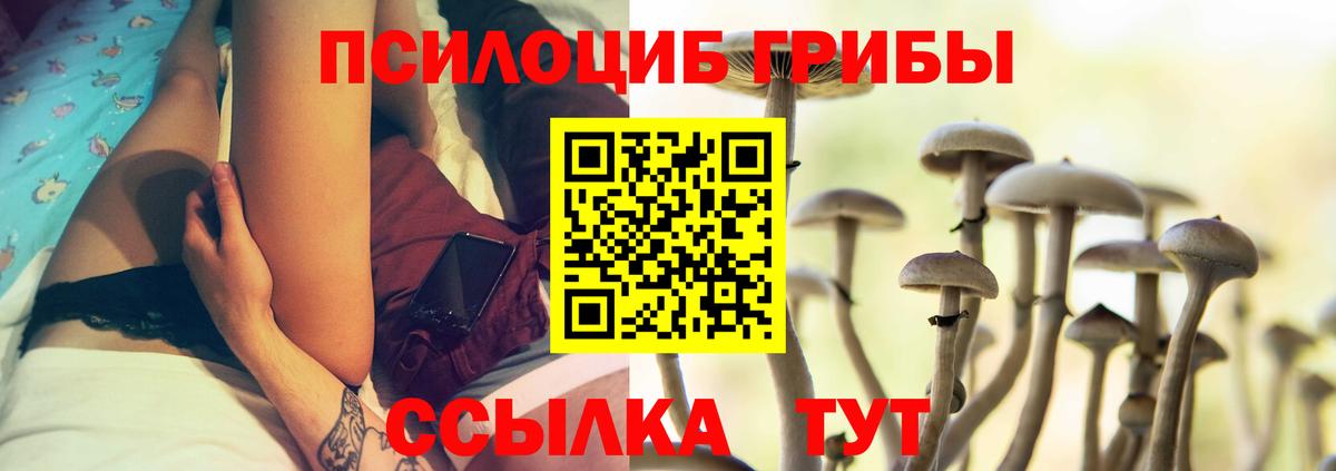 Егорьевск  купить   Вход с VPN  Псилоцибиновые грибы Magic Shrooms 