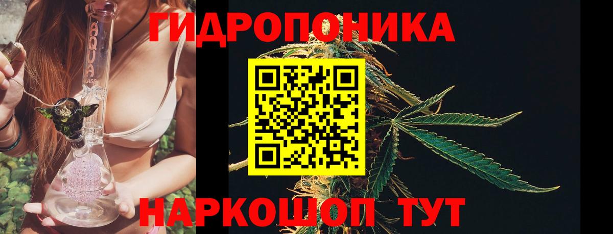 Егорьевск  МАРИХУАНА White Widow  Шишки марихуана сатива  Вход с VPN 