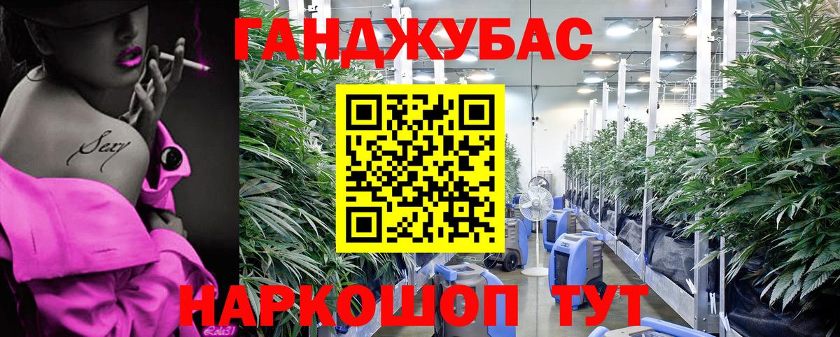 Бошки марихуана THC 21% Егорьевск